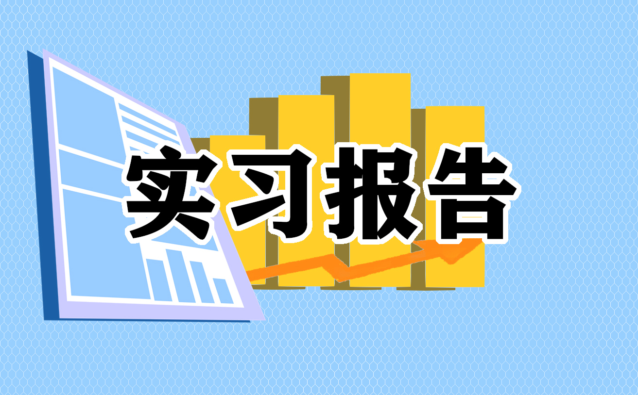 2022审计专业个人实习报告5篇